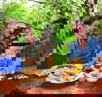 Breakfast with the Koalas at Hartley's Crocodile Park from Cairns or Palm Cove - Sunshine Coast Tourism