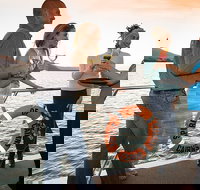 Cairns Luxury Catamaran Harbor and Dinner Cruise - Sunshine Coast Tourism