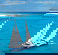 Ocean Spirit Michaelmas Cay Dive and Snorkel Cruise from Cairns - Sunshine Coast Tourism