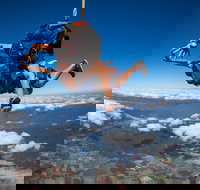 Reef and Rainforest Tandem Sky Dive in Cairns - Sunshine Coast Tourism