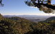 Gold Coast Lamington National Park And Tamborine Mountain 4WD Ecotour - thumb 6