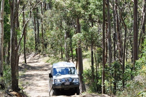 Gold Coast Lamington National Park And Tamborine Mountain 4WD Ecotour - Sunshine Coast Tourism 1