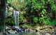 Gold Coast Lamington National Park And Tamborine Mountain 4WD Ecotour - thumb 2