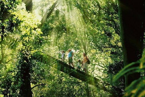Gold Coast Lamington National Park And Tamborine Mountain 4WD Ecotour - Sunshine Coast Tourism 0
