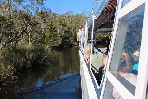 Everglades Eco Safari To Australia\'s Everglades - Sunshine Coast Tourism 3