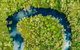 Everglades Eco Safari To Australia\'s Everglades - thumb 8