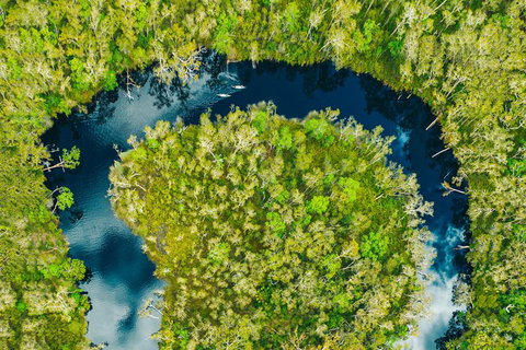 Everglades Eco Safari To Australia\'s Everglades - Sunshine Coast Tourism 8