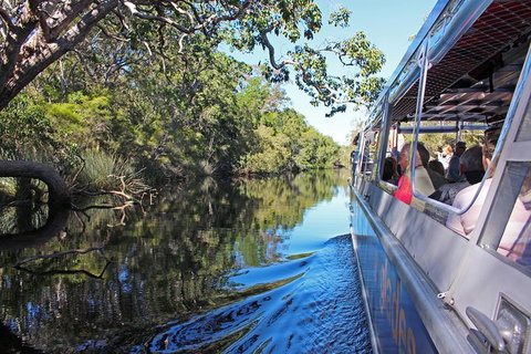 Everglades Eco Safari To Australia\'s Everglades - Sunshine Coast Tourism 4