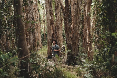 Everglades Eco Safari To Australia\'s Everglades - Sunshine Coast Tourism 7