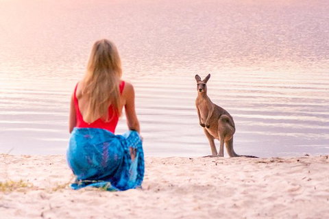 Everglades Eco Safari To Australia\'s Everglades - Sunshine Coast Tourism 1