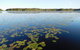 Everglades Eco Safari To Australia\'s Everglades - thumb 5