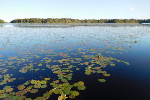 Everglades Eco Safari To Australia\'s Everglades - Sunshine Coast Tourism 5
