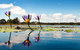 Everglades Eco Safari To Australia\'s Everglades - thumb 11