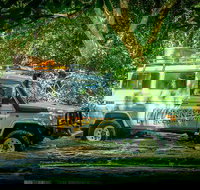 Full Day Rainforest 4WD Tour from Cairns - Sunshine Coast Tourism