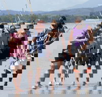 Aboriginal Cultural Daintree Rainforest Tour from Cairns or Port Douglas - Sunshine Coast Tourism