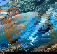 Cairns 2-Day Combo Great Barrier Reef Cruise and Kuranda - Sunshine Coast Tourism