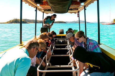 Airlie Beach Glass Bottom Boat Tour - Sunshine Coast Tourism 5