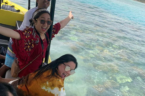 Airlie Beach Glass Bottom Boat Tour - Sunshine Coast Tourism 6