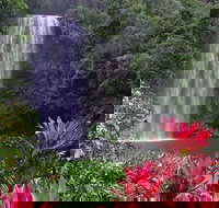 The Original Day Tour to Paronella Park Lake Barrine and Millaa Millaa Falls - Sunshine Coast Tourism