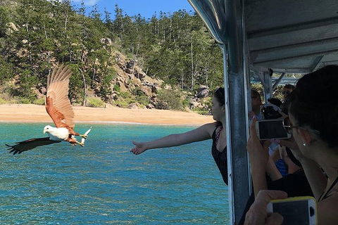 Aquascene Magnetic Island Discovery Tour - Holiday Sunshine Coast 2