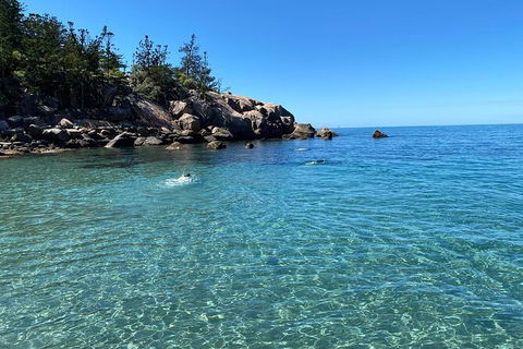 Aquascene Magnetic Island Discovery Tour - Holiday Sunshine Coast 9