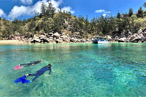 Aquascene Magnetic Island Discovery Tour - Holiday Sunshine Coast 8