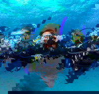 Great Barrier Reef Diving and Snorkeling Cruise from Cairns - Sunshine Coast Tourism