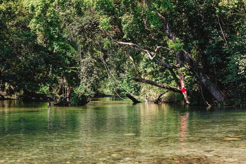 Atherton Tablelands Waterfalls And Rainforest Day Tour Departing Cairns - Sunshine Coast Tourism 3
