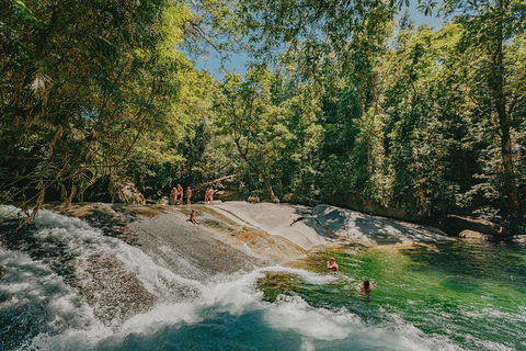 Atherton Tablelands Waterfalls And Rainforest Day Tour Departing Cairns - Sunshine Coast Tourism 0
