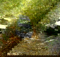 Barron Gorge and Kuranda National Park Half Day Rainforest and Waterfall 4WD Tour from Cairns
