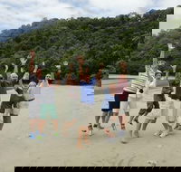 Small Group Daintree Rainforest Tour