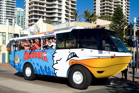 Aquaduck Gold Coast 1 Hour City And River Tour - Holiday Sunshine Coast 5