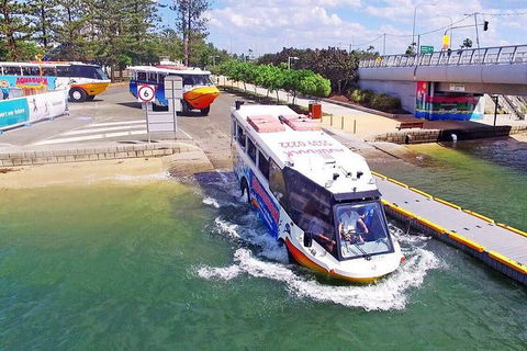 Aquaduck Gold Coast 1 Hour City And River Tour - Holiday Sunshine Coast 4