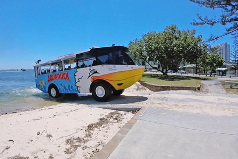 Aquaduck Gold Coast 1 Hour City And River Tour - Holiday Sunshine Coast 1