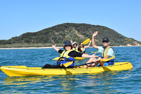 Kayak With Dolphins And 4WD Great Beach Drive Day Trip From Noosa - Holiday Sunshine Coast 6