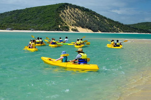 Kayak With Dolphins And 4WD Great Beach Drive Day Trip From Noosa - Holiday Sunshine Coast 8
