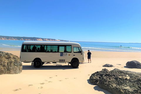 Kayak With Dolphins And 4WD Great Beach Drive Day Trip From Noosa - Holiday Sunshine Coast 17