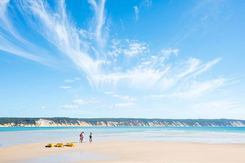 Kayak With Dolphins And 4WD Great Beach Drive Day Trip From Noosa - Holiday Sunshine Coast 16