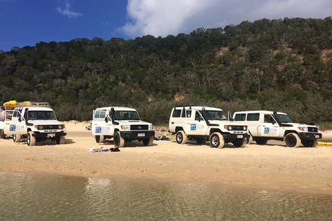 Kayak With Dolphins And 4WD Great Beach Drive Day Trip From Noosa - Holiday Sunshine Coast 9