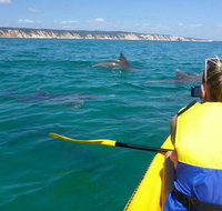Kayak with Dolphins and 4WD Great Beach Drive Day Trip from Noosa - Sunshine Coast Tourism