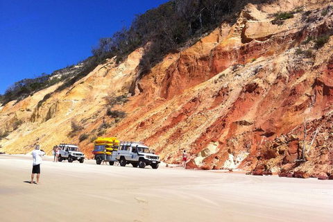 Kayak With Dolphins And 4WD Great Beach Drive Day Trip From Noosa - Holiday Sunshine Coast 12