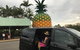 Private Transfer From Noosa To Sunshine Coast Airport- 8seater + Luggage Trailer - thumb 3