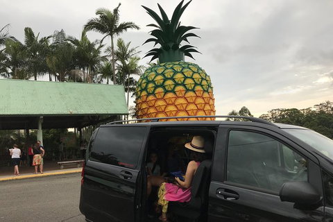 Private Transfer From Sunshine Coast Airport To Noosa 8 Seater + Luggage Trailer - Sunshine Coast Tourism 2