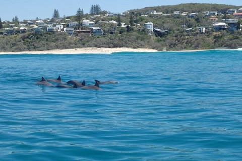 Noosa Thriller - 500hp Ocean Adventure Ride - Sunshine Coast Tourism 5