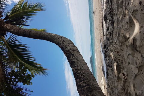 Airport Transfers Between Cairns Airport And Cairns City - Sunshine Coast Tourism 4