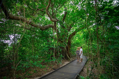 Green Island Discovery Including Glass Bottom Boat Tour Departing Cairns - Sunshine Coast Tourism 4