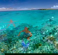 Green Island Discovery Including Glass Bottom Boat Tour Departing Cairns