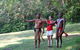 Skip The Line: Kuranda Rainforestation Nature Park Ticket - thumb 5