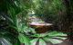 Skip The Line: Kuranda Rainforestation Nature Park Ticket - thumb 3