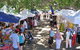 Sunshine Coast Eumundi Markets Return Minibus Transfer - thumb 0